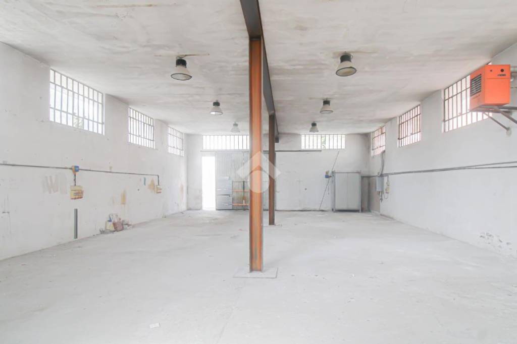 immagine annuncio 6 di 14