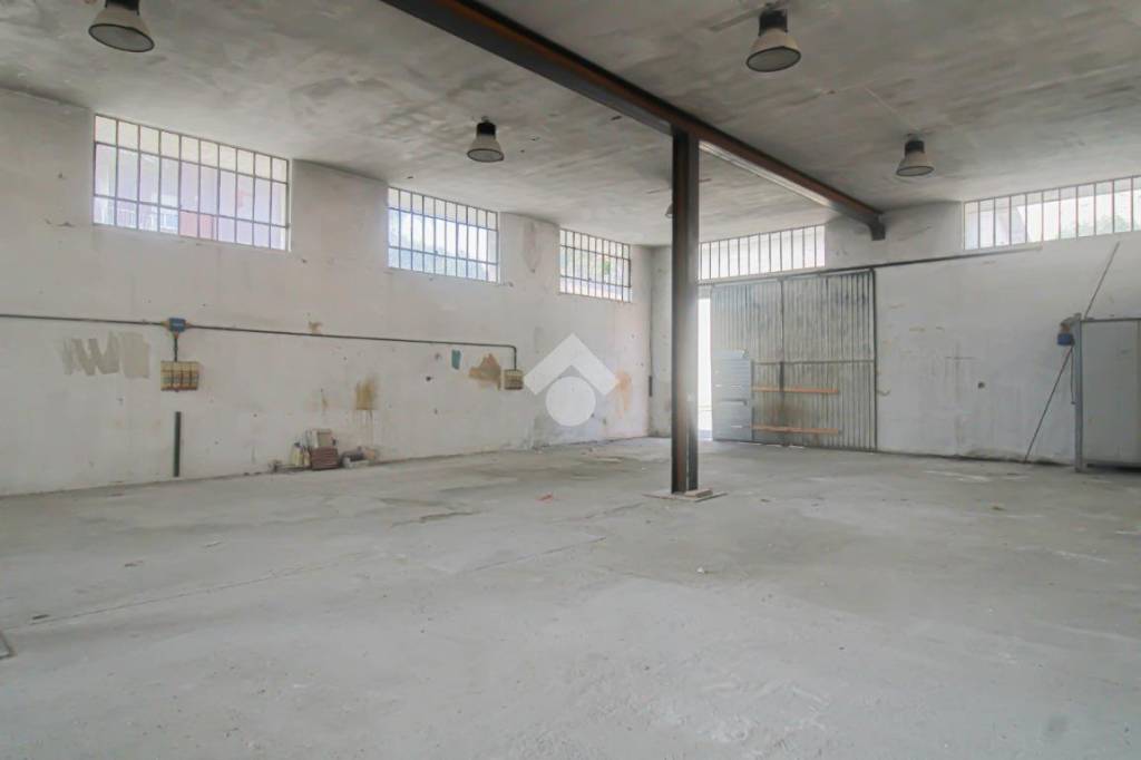 immagine annuncio 11 di 14