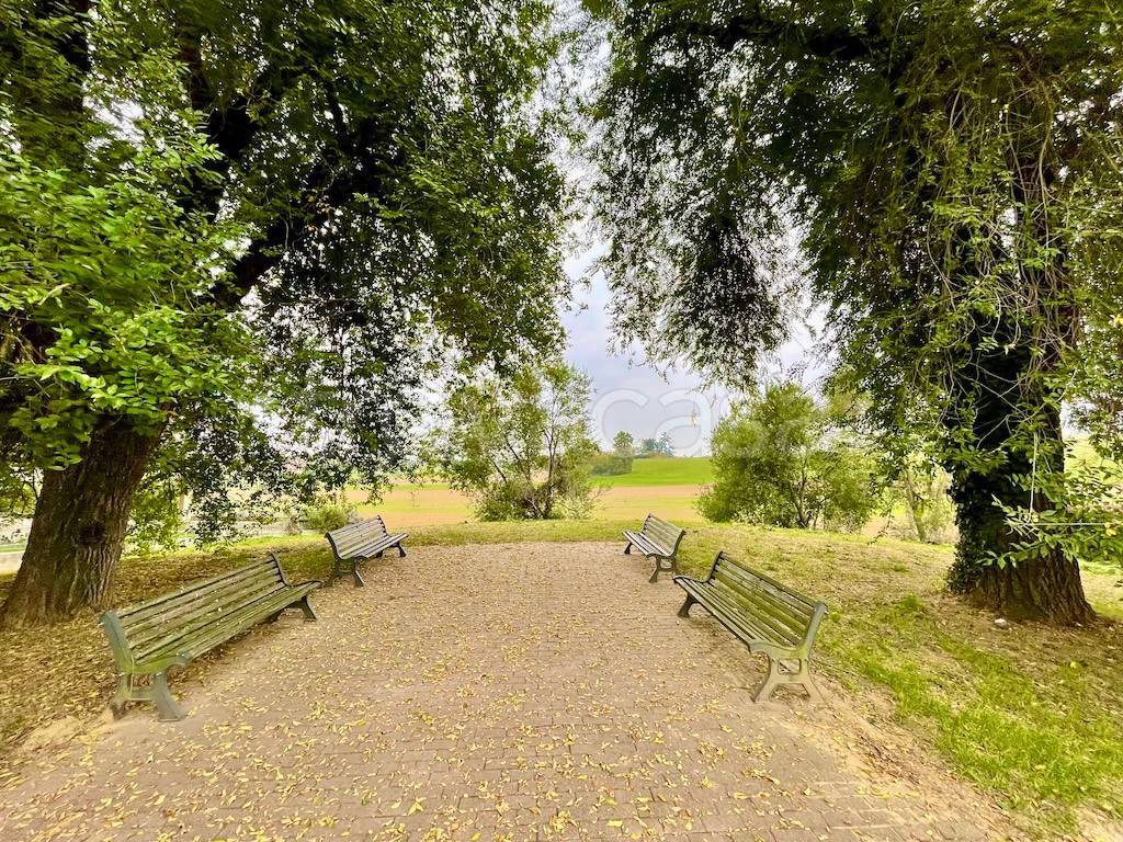 immagine annuncio 7 di 14