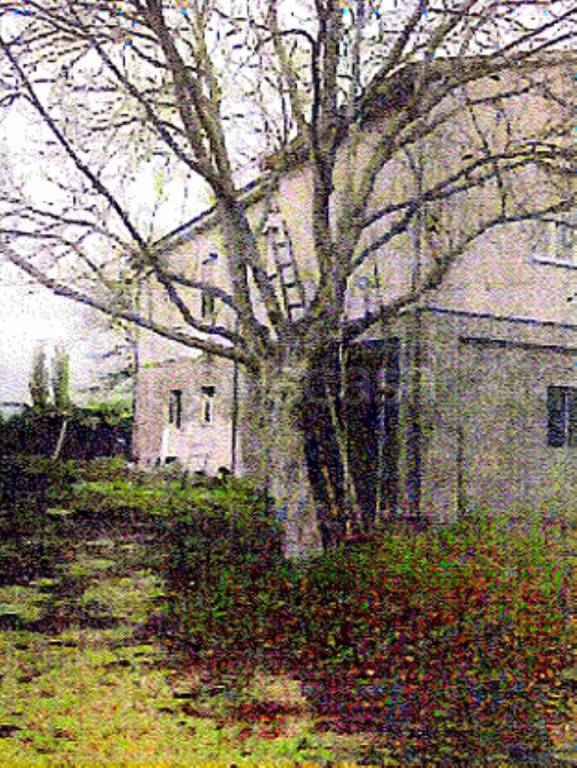 immagine annuncio 2 di 11