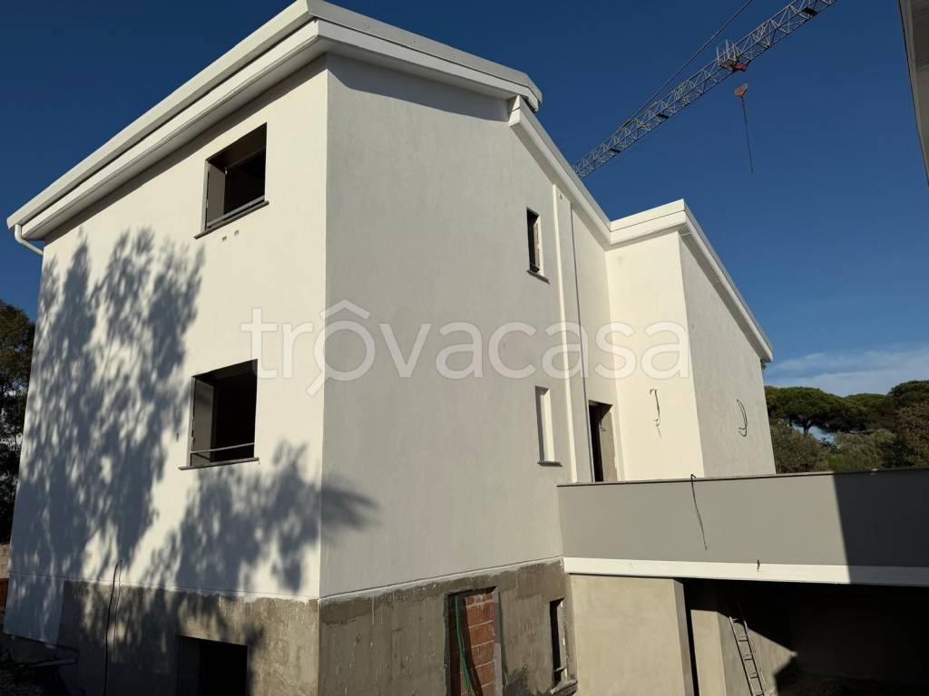 immagine annuncio 2 di 8