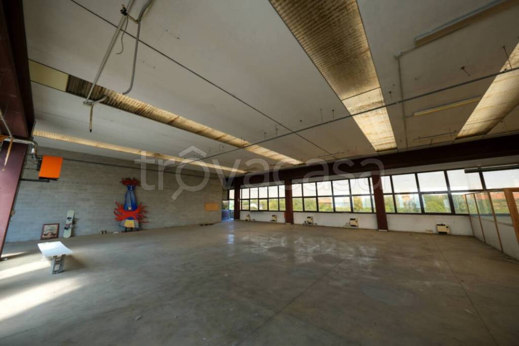 immagine annuncio 5 di 13