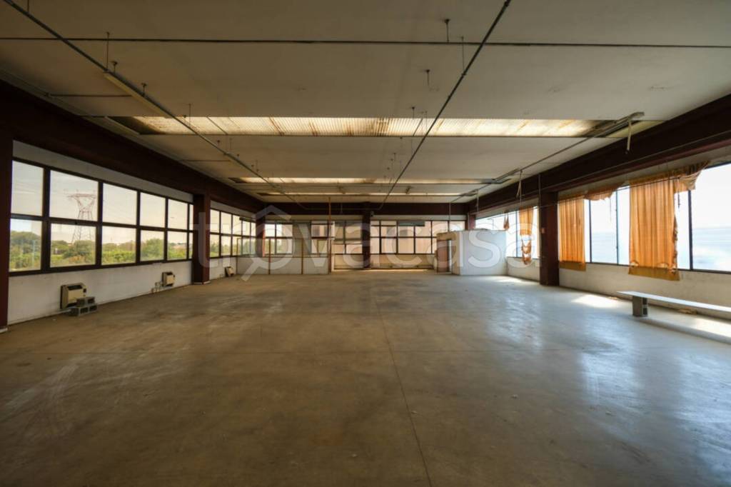 immagine annuncio 9 di 13