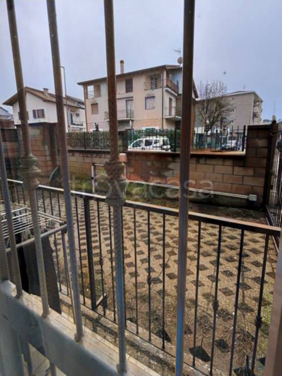 immagine annuncio 5 di 14