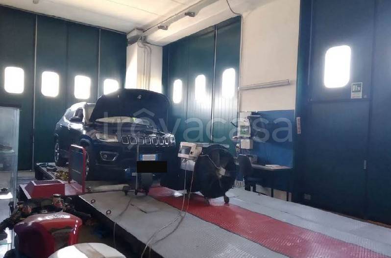 immagine annuncio 9 di 15