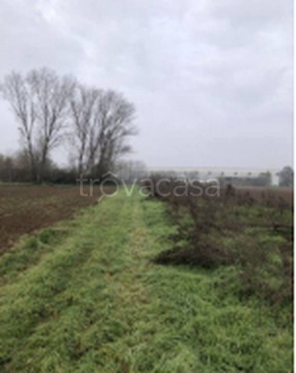 immagine annuncio 4 di 11