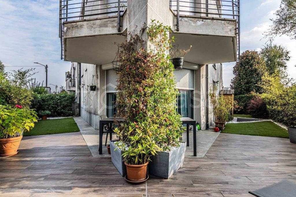 immagine annuncio 3 di 15