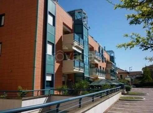 immagine annuncio 2 di 14