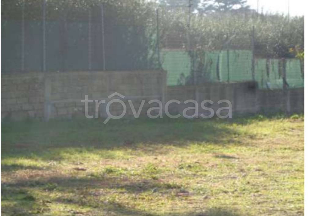 immagine annuncio 8 di 11