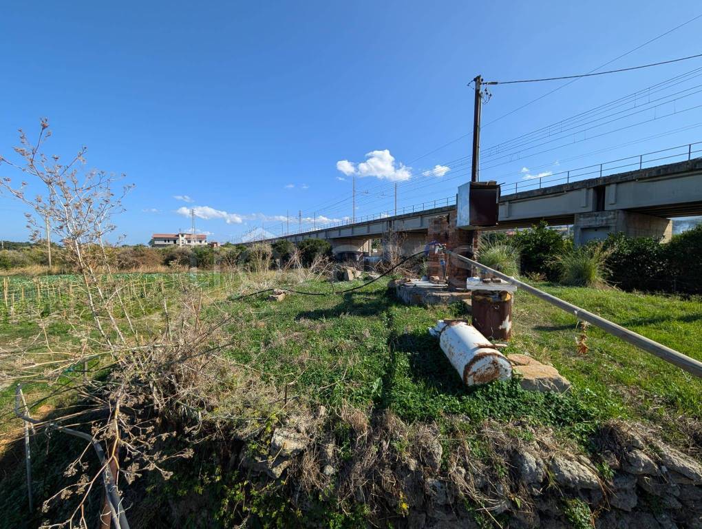 immagine annuncio 7 di 11