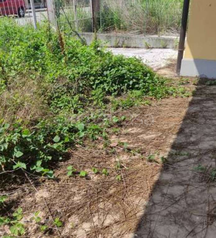 immagine annuncio 1 di 14