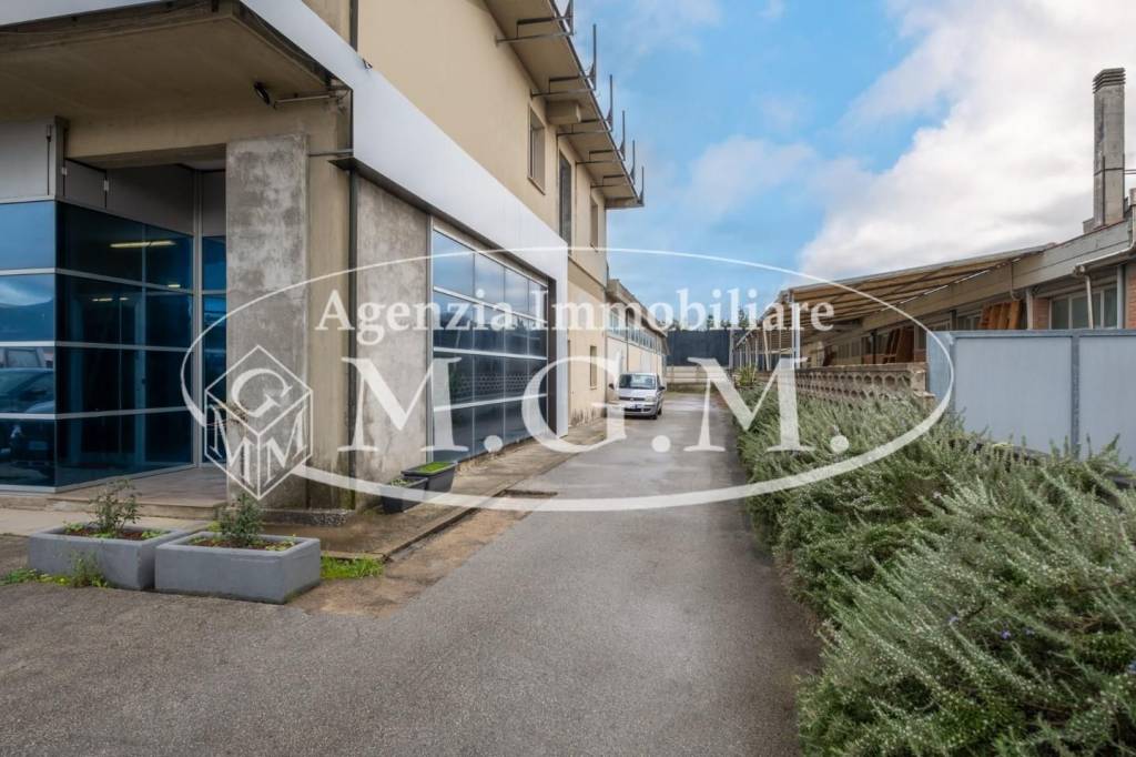 immagine annuncio 11 di 15