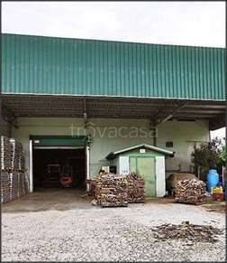 immagine annuncio 2 di 8