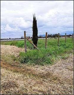 immagine annuncio 5 di 8