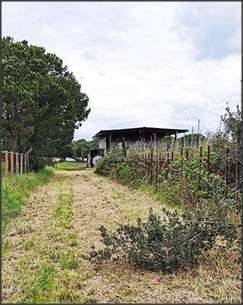 immagine annuncio 7 di 8