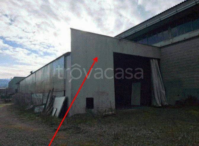 immagine annuncio 2 di 11