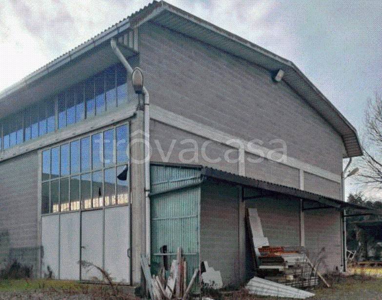 immagine annuncio 3 di 11