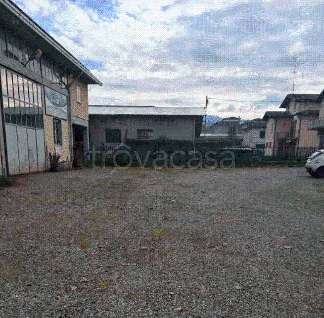 immagine annuncio 5 di 11