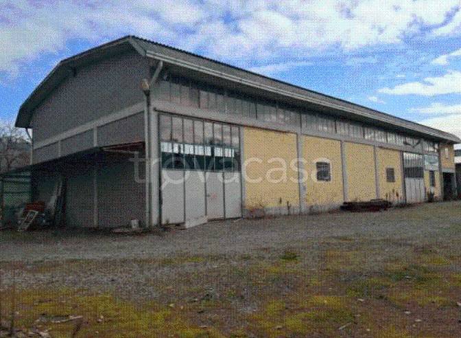 immagine annuncio 10 di 11