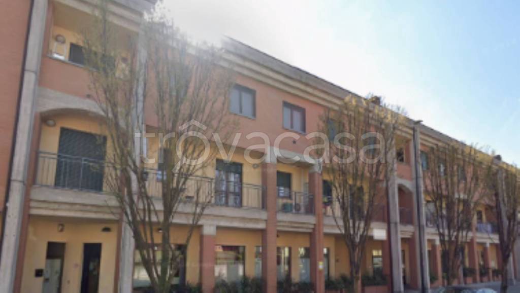 immagine annuncio 1 di 11