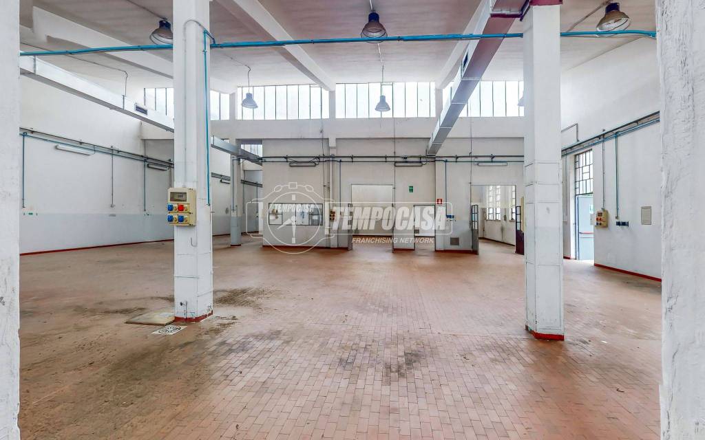 immagine annuncio 9 di 15