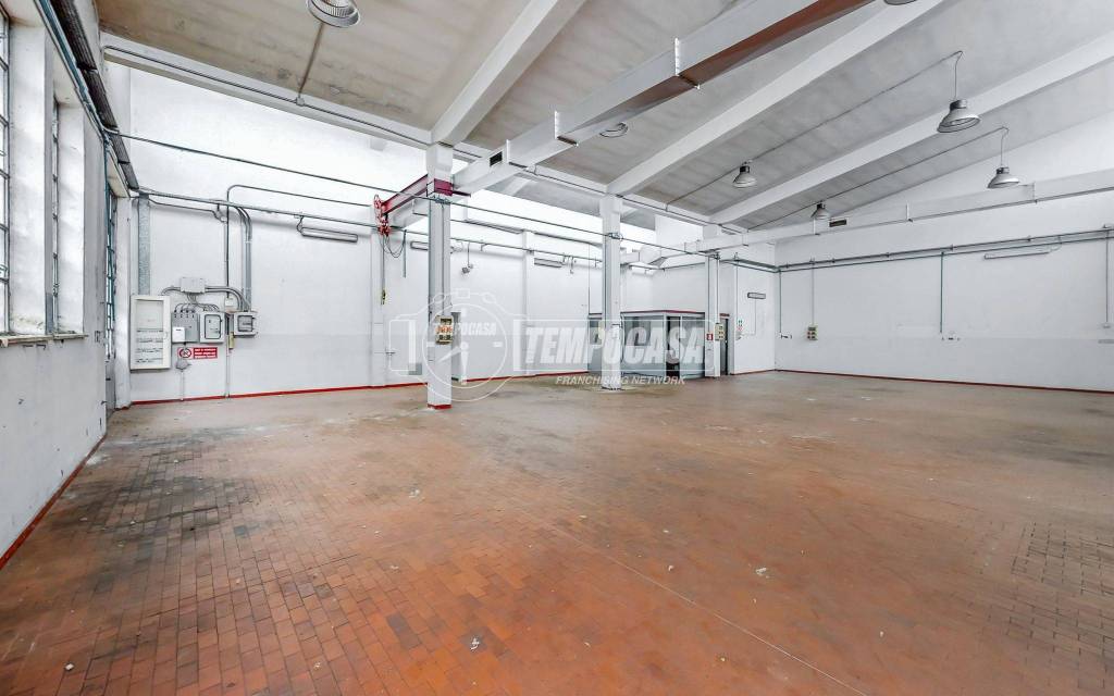 immagine annuncio 12 di 15