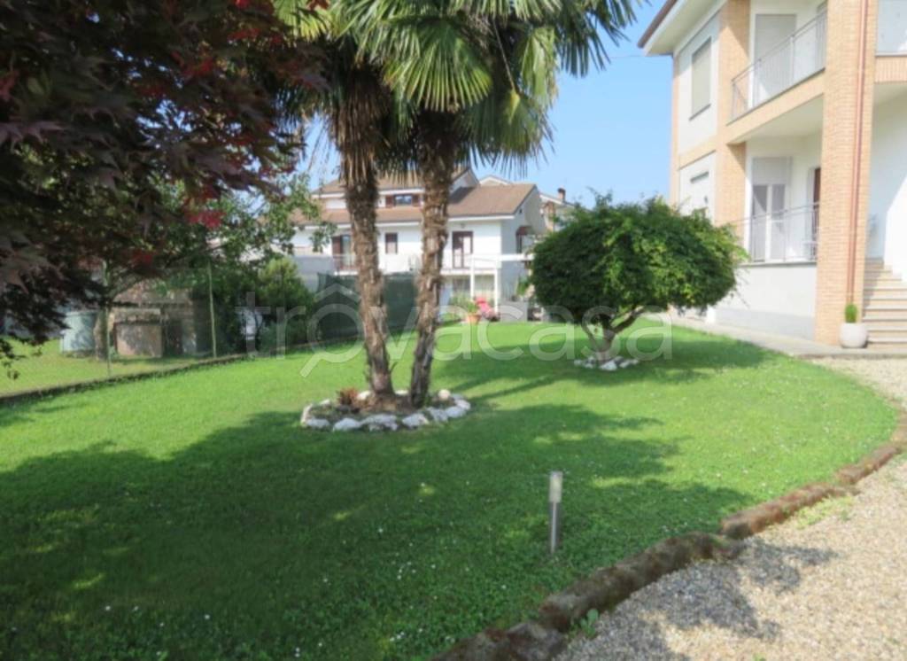 immagine annuncio 8 di 11