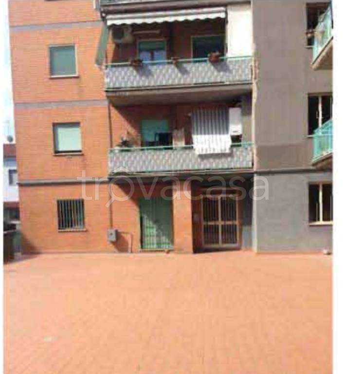 immagine annuncio 5 di 13