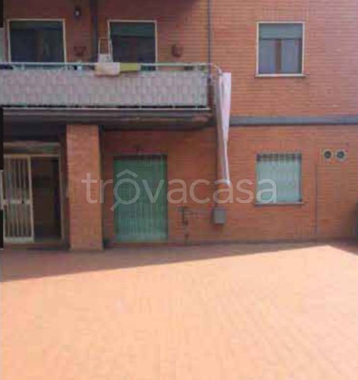 immagine annuncio 12 di 13