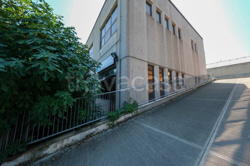 immagine annuncio 1 di 14