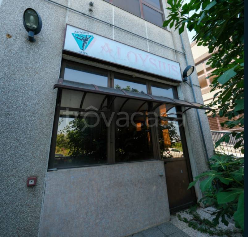 immagine annuncio 3 di 13