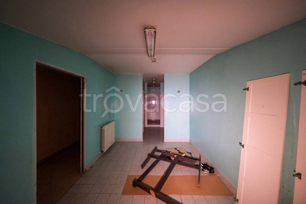 immagine annuncio 5 di 13