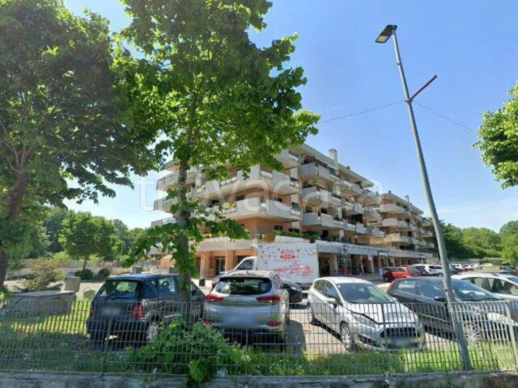 immagine annuncio 1 di 12