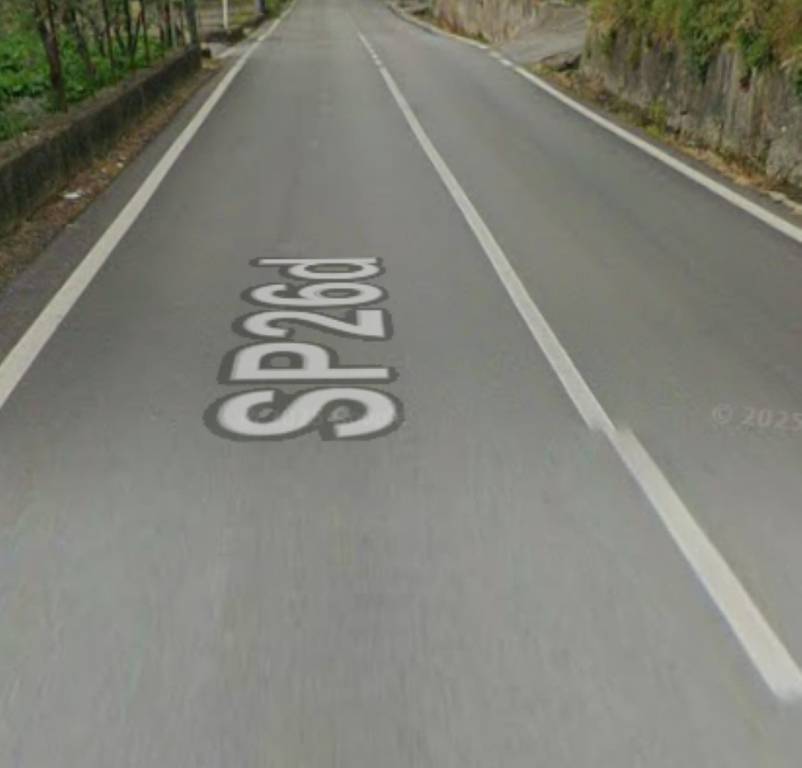 immagine annuncio 2 di 14