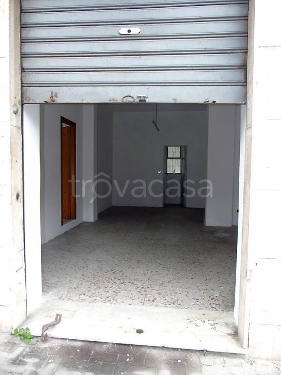 immagine annuncio 5 di 9