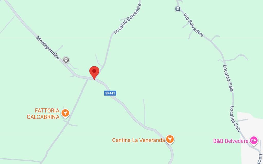 immagine annuncio 8 di 10