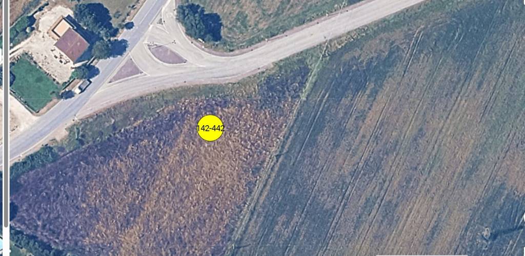 immagine annuncio 10 di 11