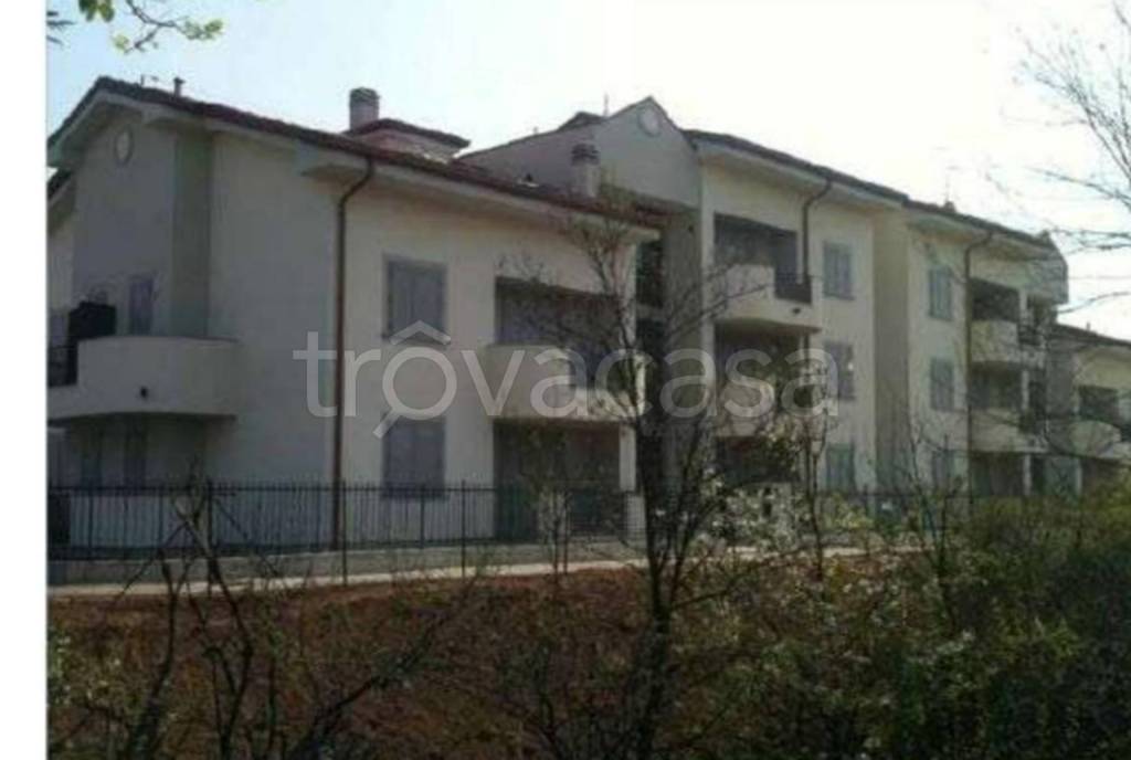 immagine annuncio 9 di 11