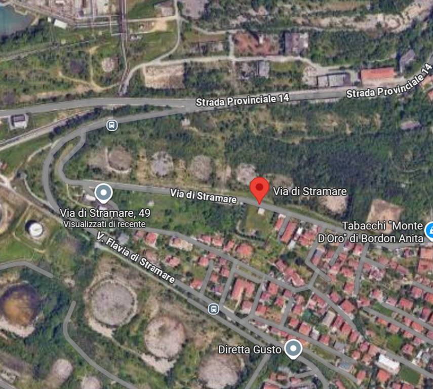 immagine annuncio 3 di 14