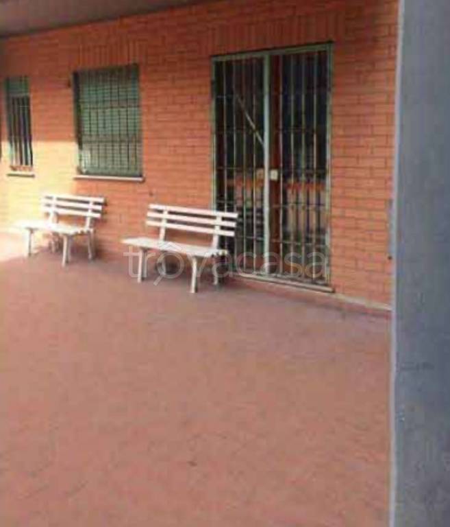 immagine annuncio 5 di 13