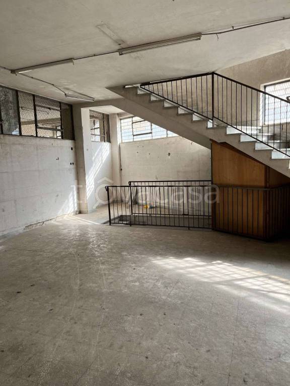 immagine annuncio 6 di 14