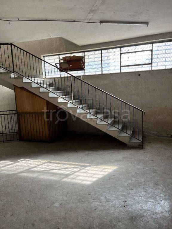 immagine annuncio 7 di 14