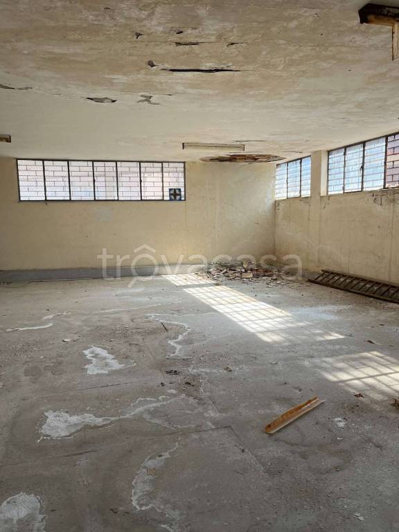 immagine annuncio 9 di 14