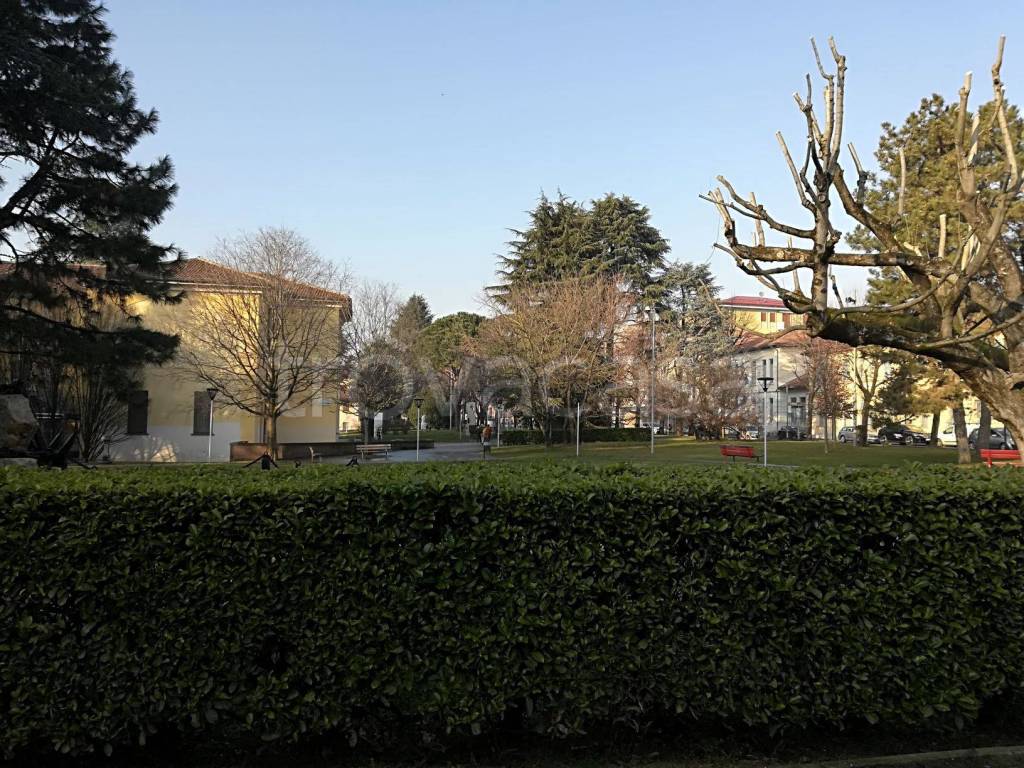 immagine annuncio 2 di 8