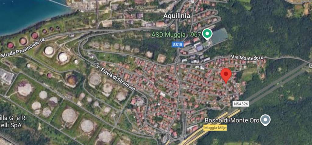 immagine annuncio 7 di 10