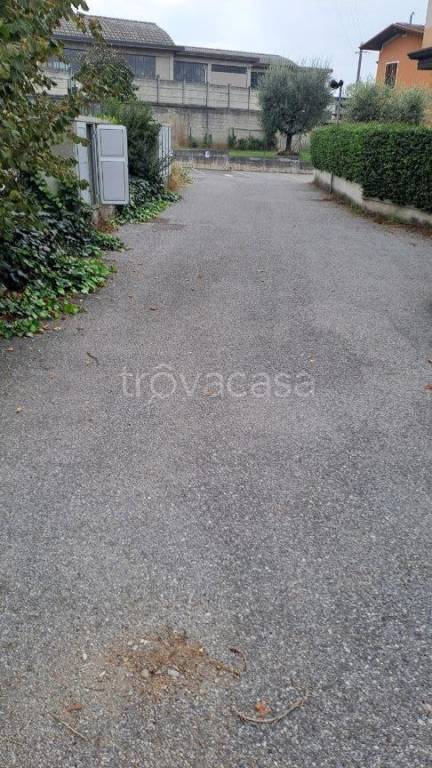 immagine annuncio 4 di 9