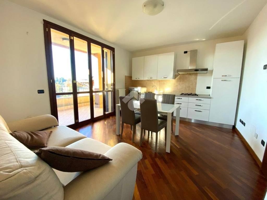 immagine annuncio 6 di 15