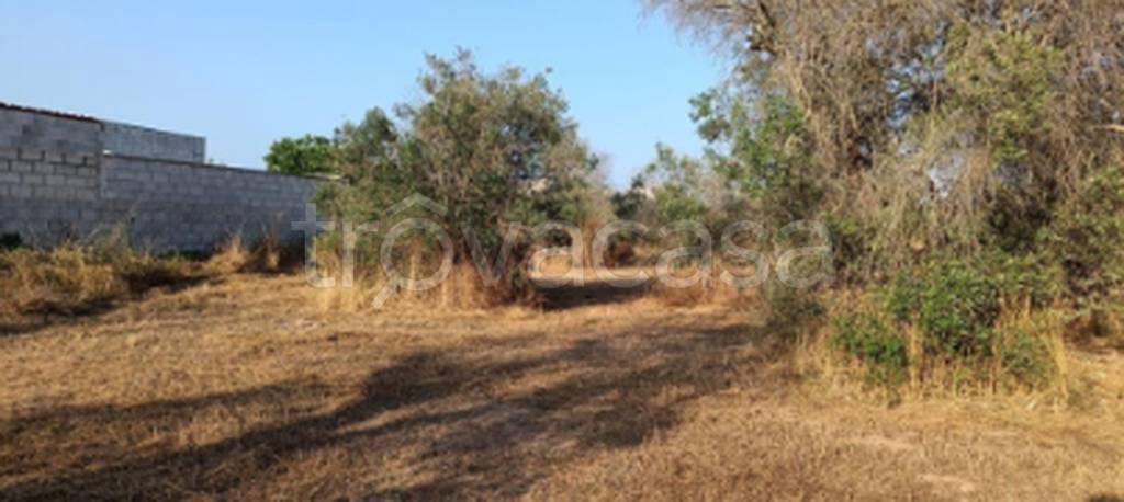 immagine annuncio 10 di 11