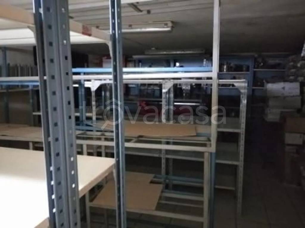 immagine annuncio 4 di 14