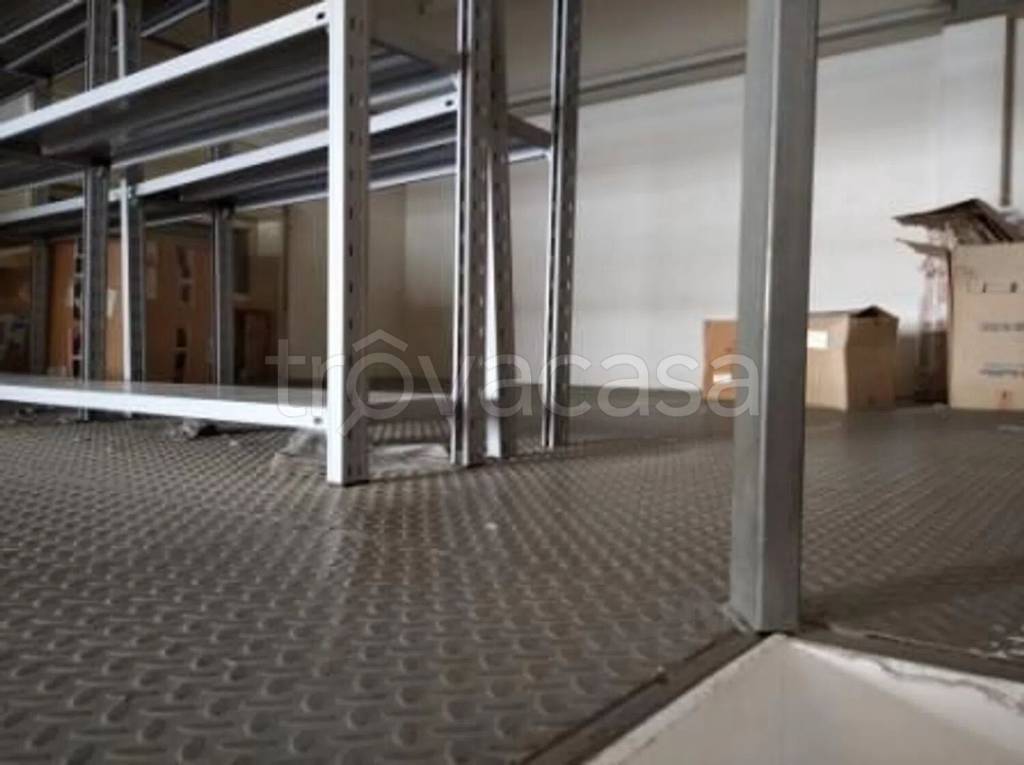 immagine annuncio 11 di 14